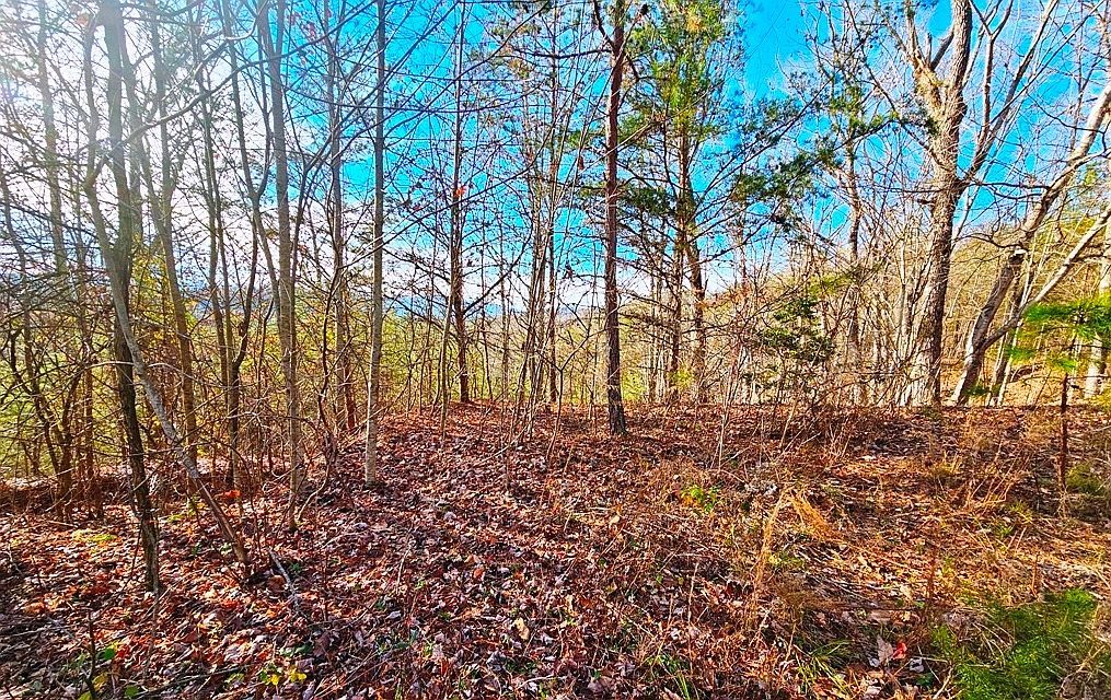 LOT 80 Graystone Dr Murphy, NC 28906 - Thumbnail 5