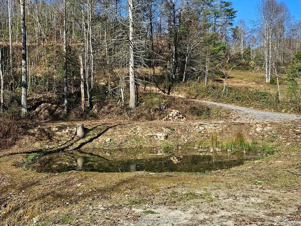 25 Odell Loop Murphy, NC 28906 - Thumbnail 5