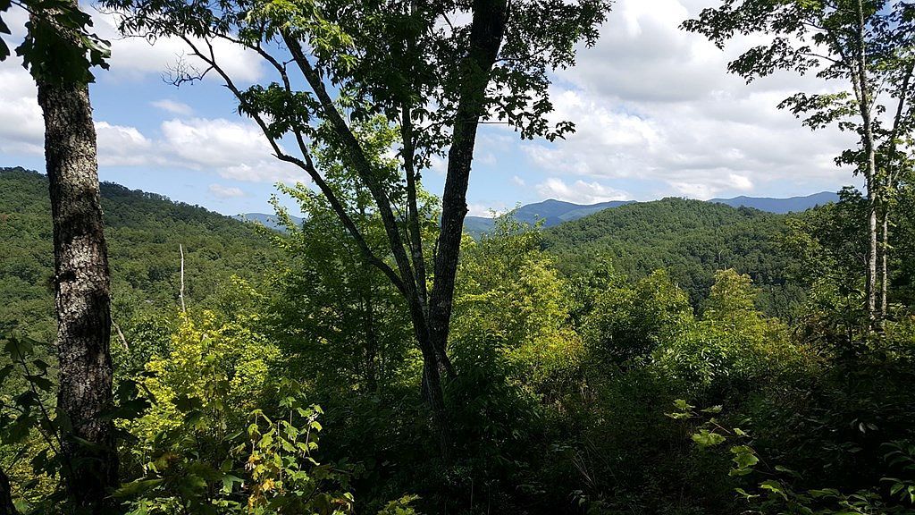 LOT 22 Tyler Rdg Murphy, NC 28906 - Thumbnail 5