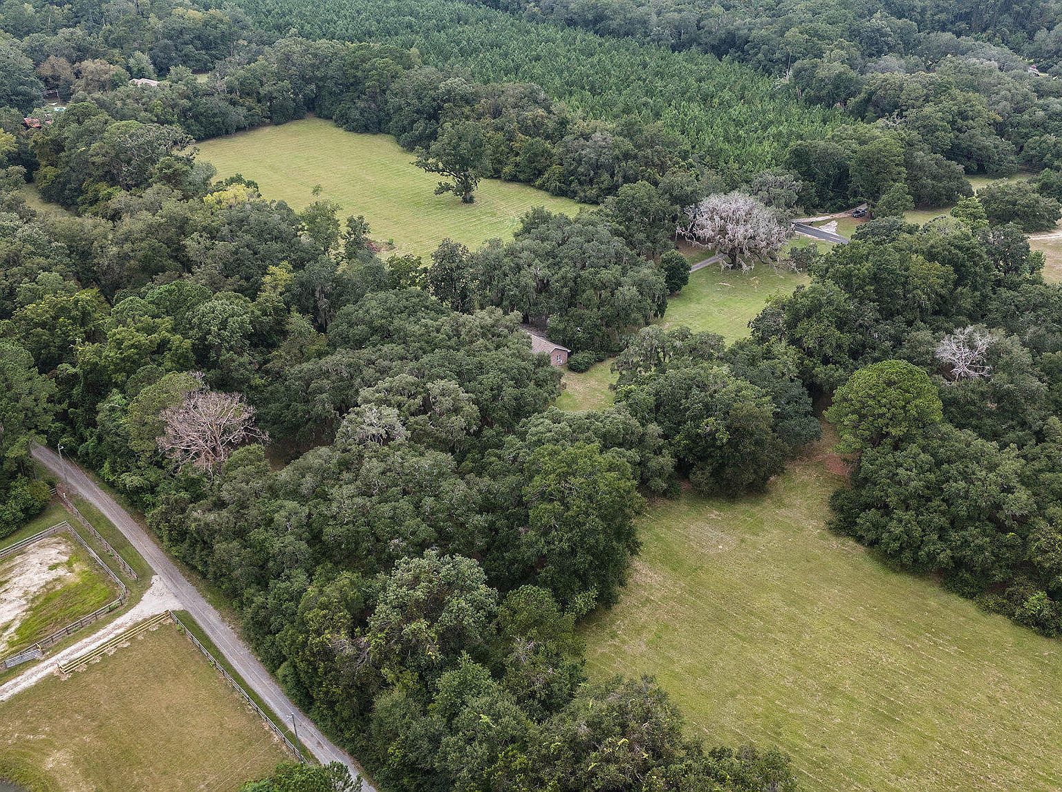 7817 Little Britton Rd Meggett, SC 29449 - Thumbnail 5