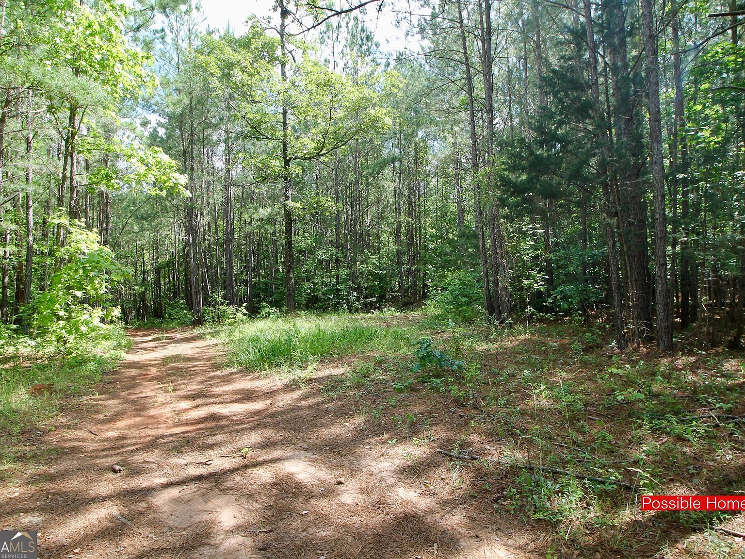 207 River Overlook Forsyth, GA 31029 - Thumbnail 5