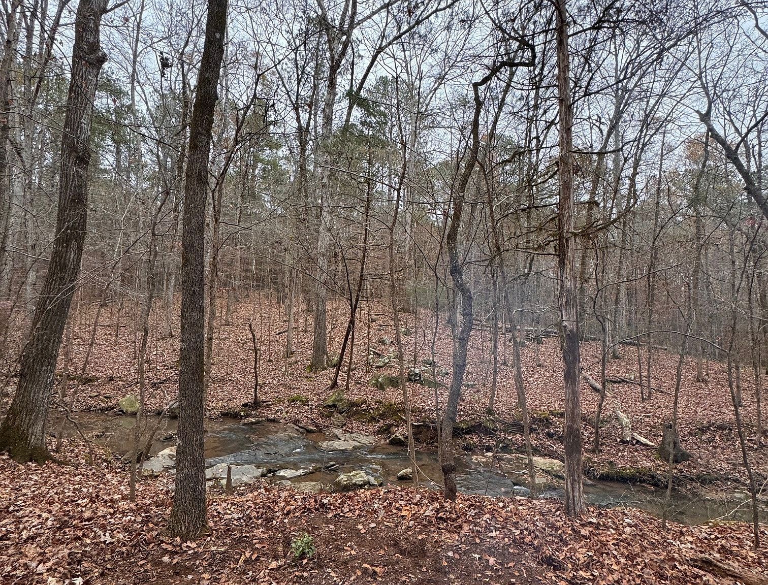 449 Old Indian Springs Rd Forsyth, GA 31029 - Thumbnail 5