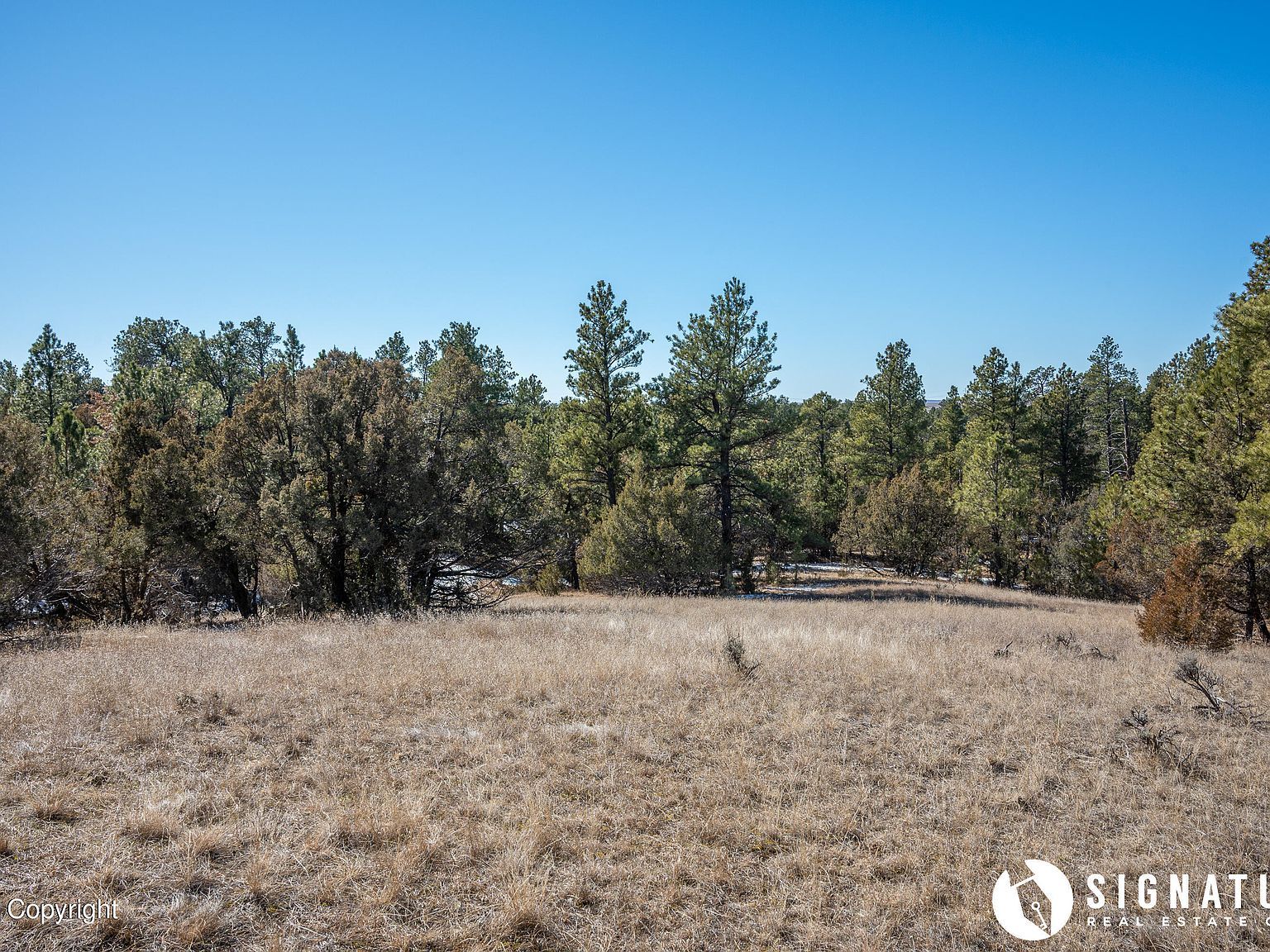 7 Coyote Dr Pine Haven, WY 82721 - Thumbnail 5