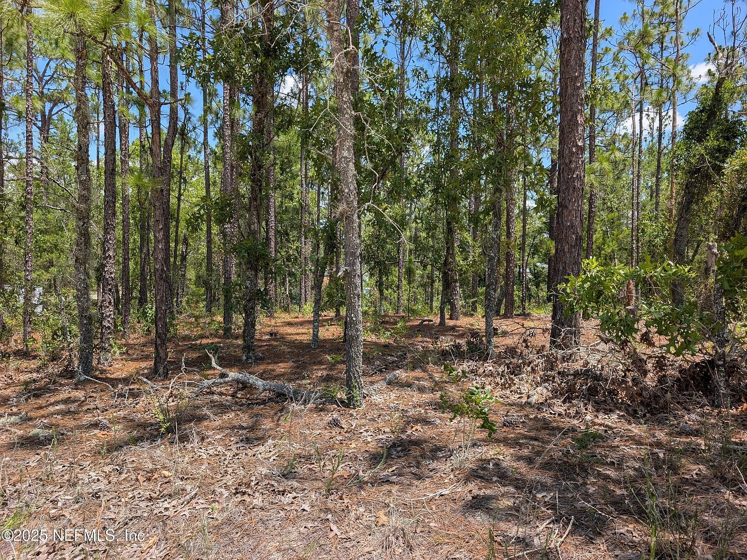 6218 Emory Ave Keystone Heights, FL 32656 - Thumbnail 5