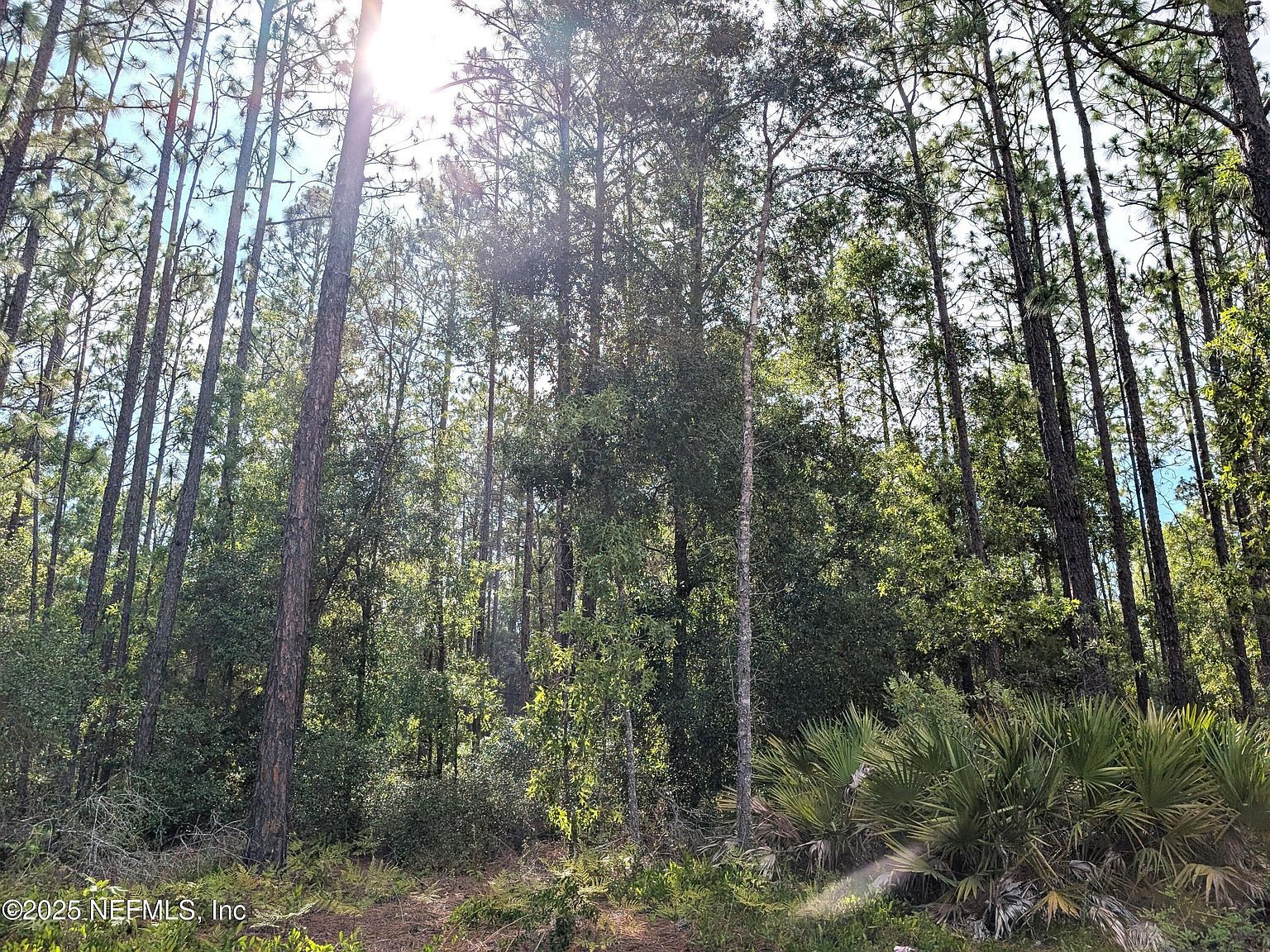 7676 Los Padres Ave, Keystone Heights, FL, 32656 | Land/Lot