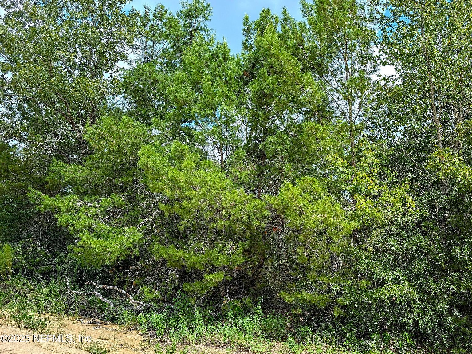 5635 Cherokee St, Keystone Heights, FL, 32656 - Thumbnail 5