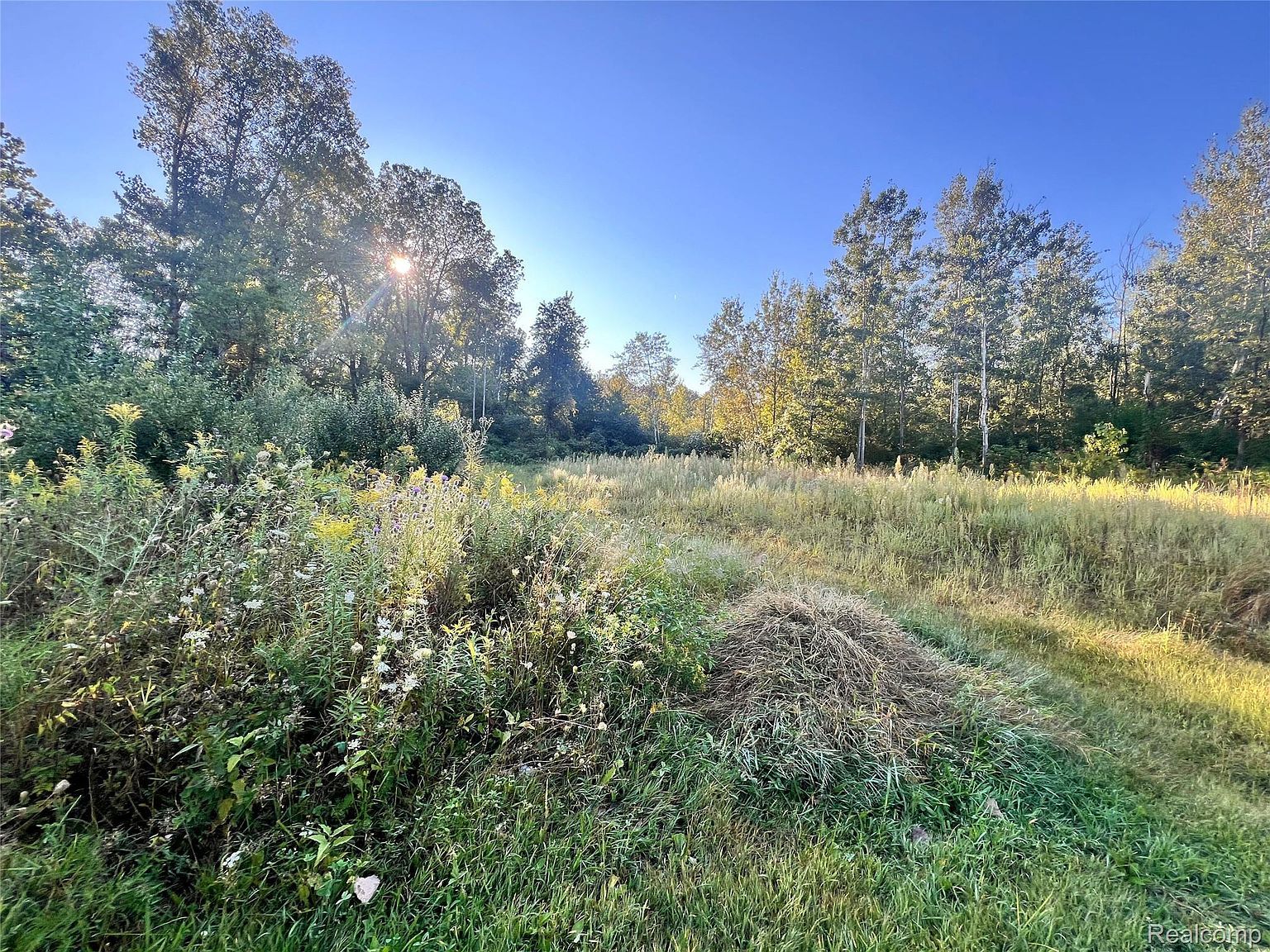 8085 W Newburg Rd Carleton, MI 48117  | Single Family