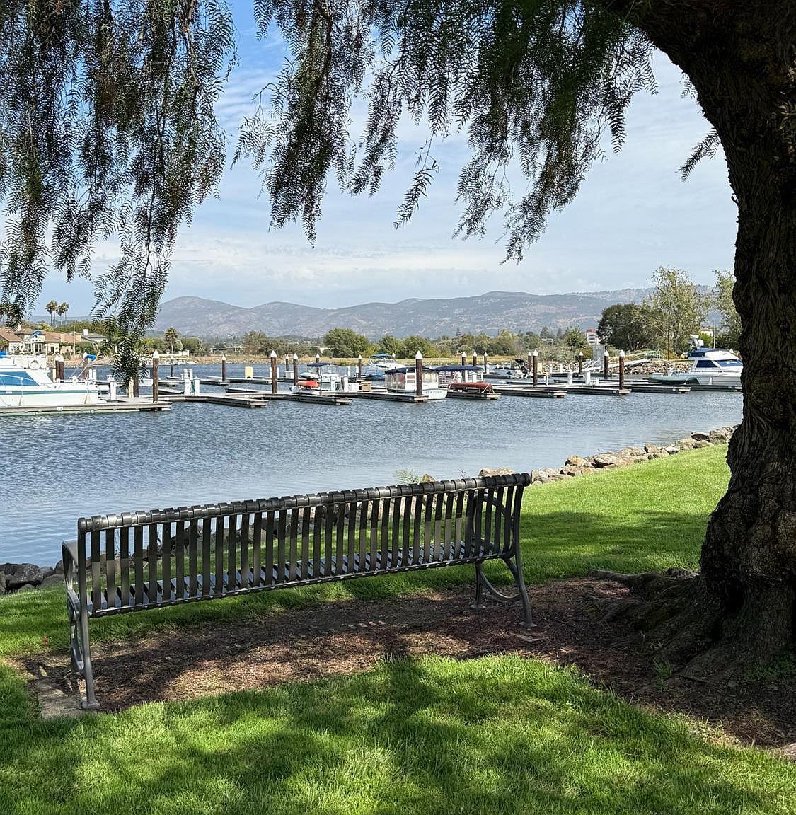 91 S Newport Dr Napa, CA 94559 - Thumbnail 5