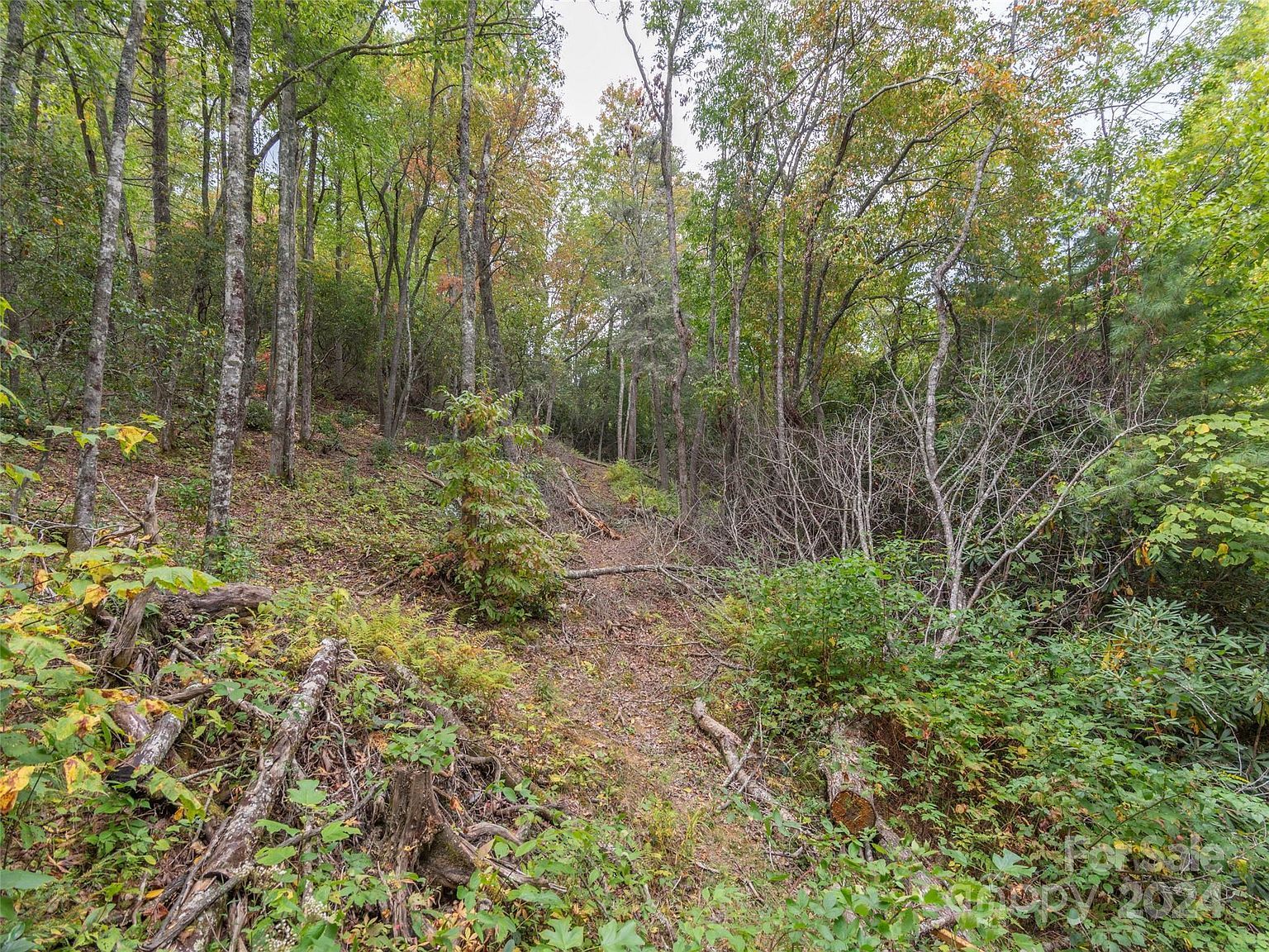 0 Keull Rd, Waynesville, NC, 28785 - Thumbnail 5