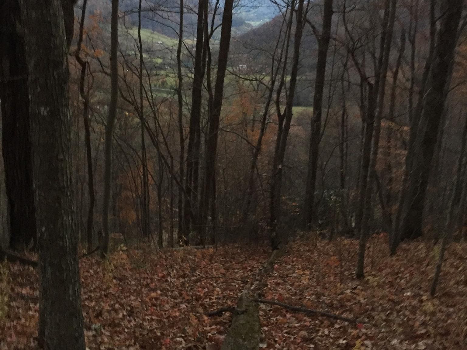 0 Triple Creek Dr Clyde, NC 28721 | Land/Lot