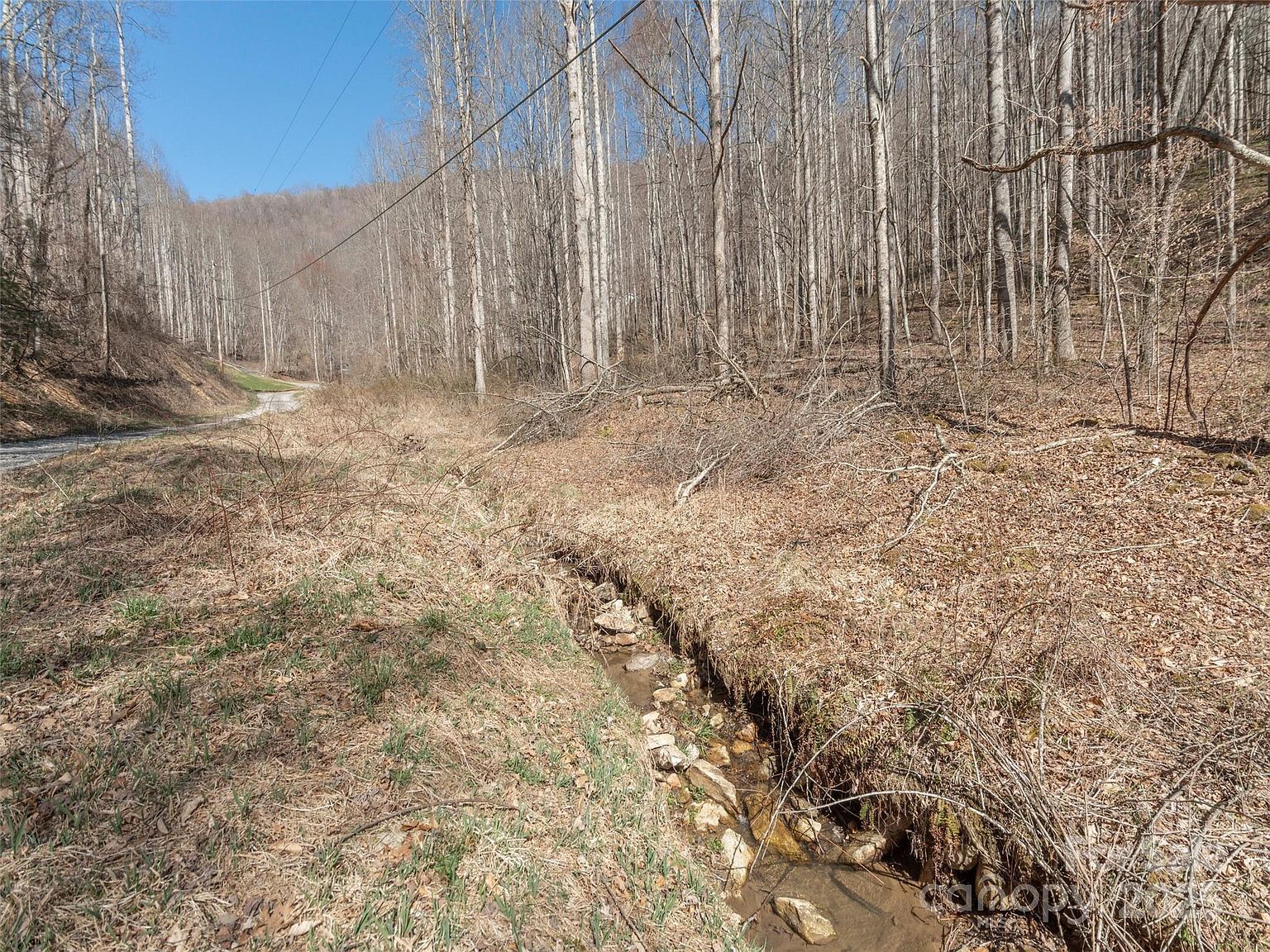 99999 Gibson Branch Rd, Clyde, NC, 28721 - Thumbnail 5