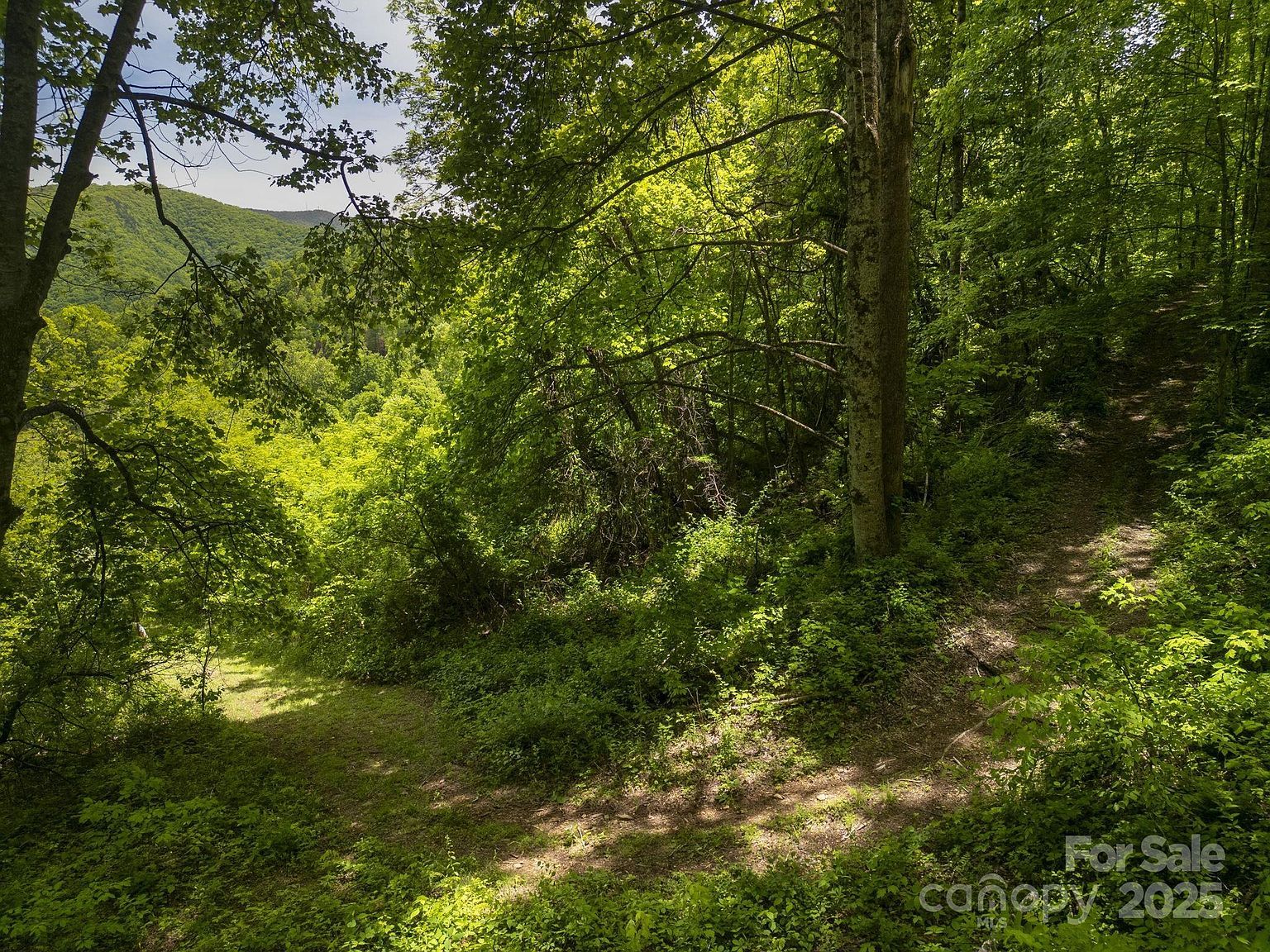 0 Cold Creek Rd Canton, NC 28716 - Thumbnail 5