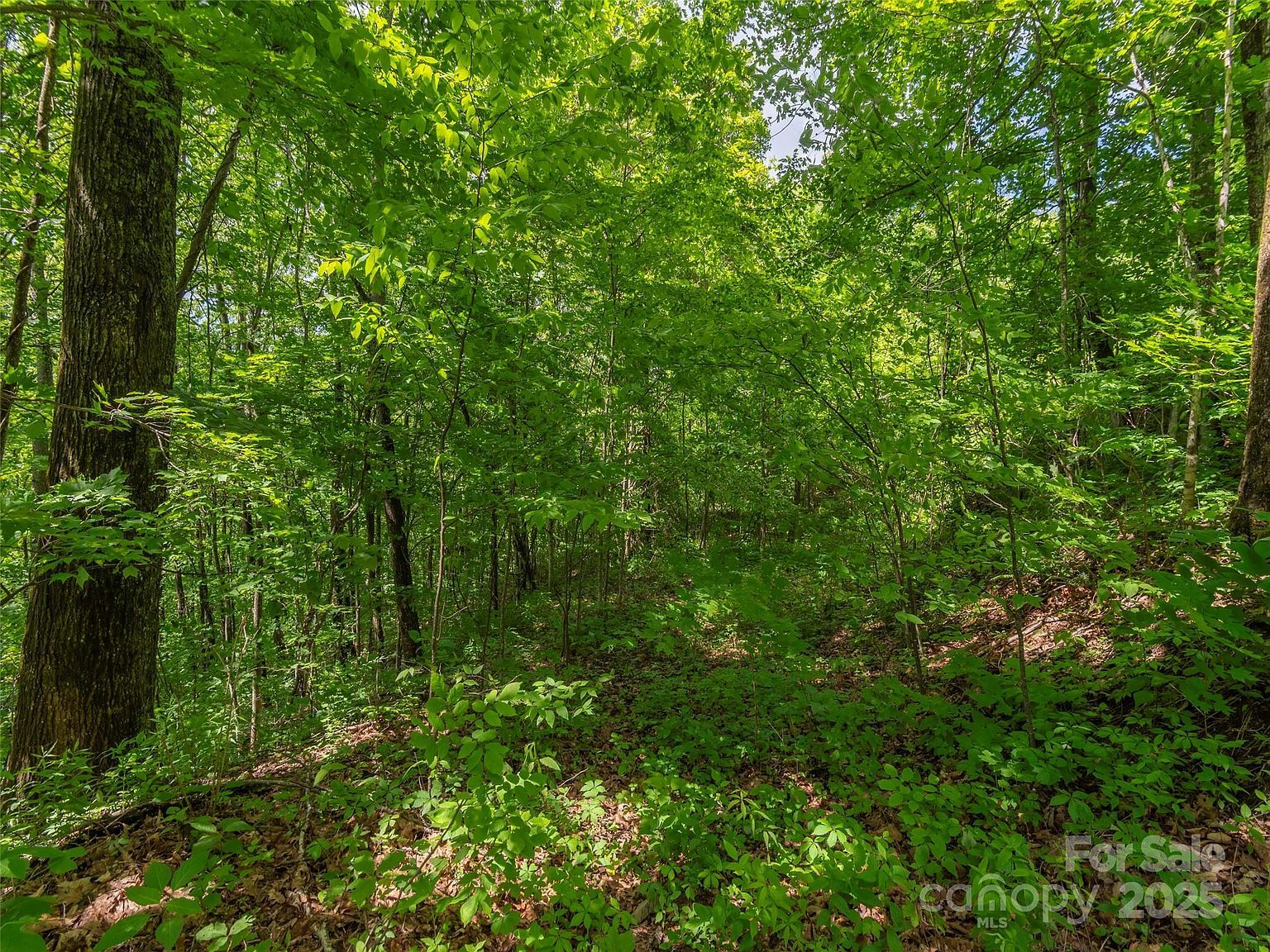 99999 Sara Ridge Rd #32C Waynesville, NC 28786 - Thumbnail 5