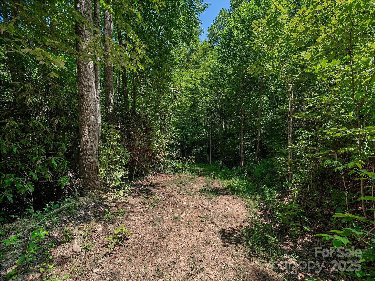 LOT B10 Rockmont Rd Waynesville, NC 28785 - Thumbnail 5