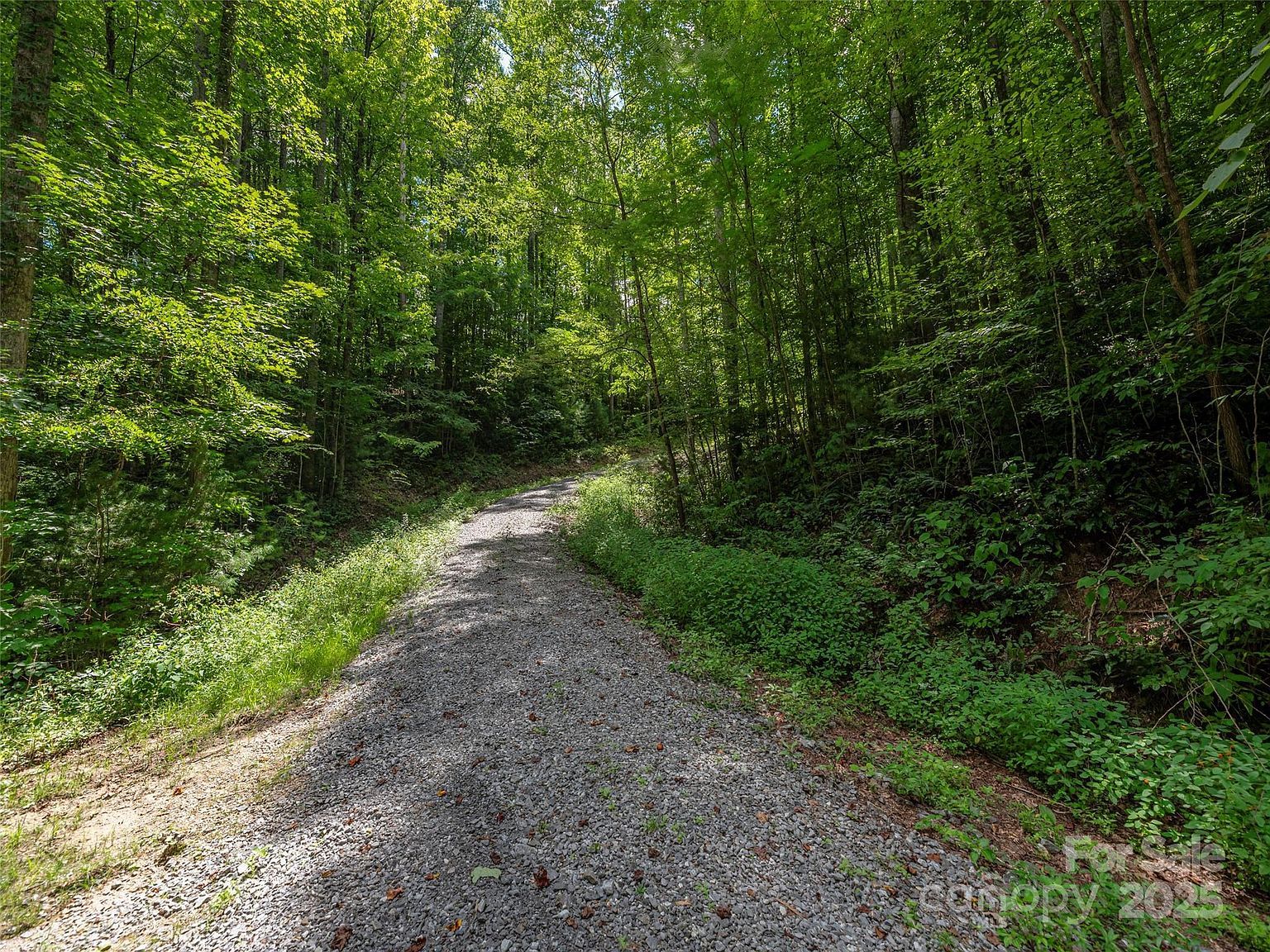 0 Flowing Brook Ln #3 Waynesville, NC 28786 - Thumbnail 5