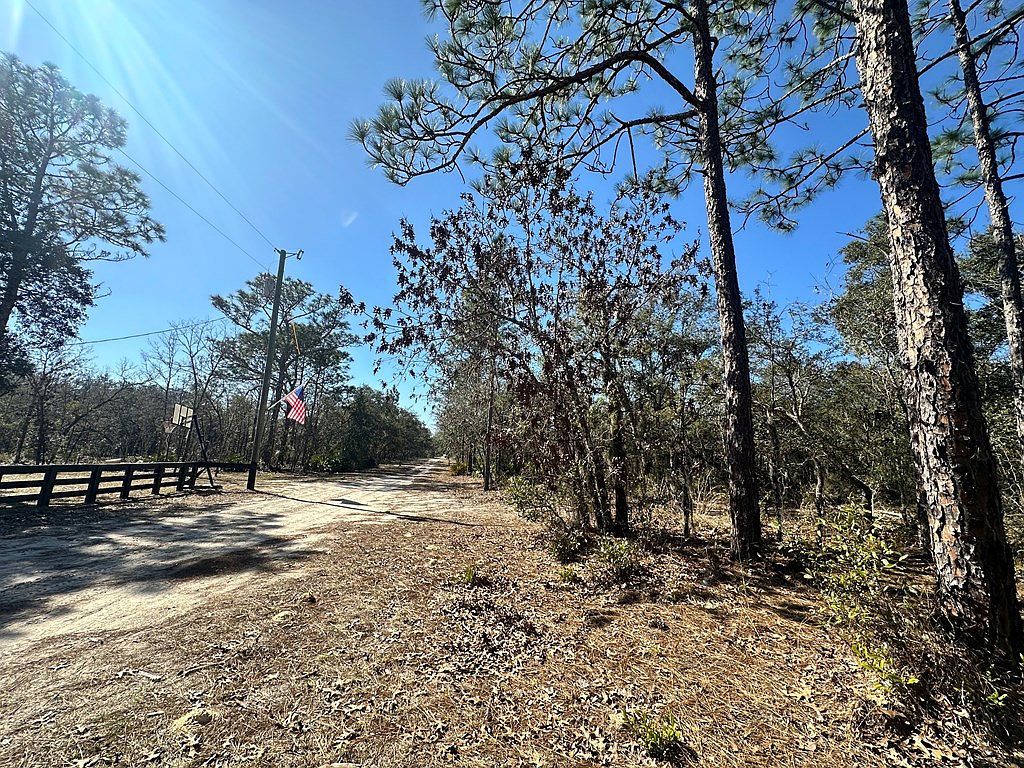 0 NE 66th Ln Williston, FL 32696 - Thumbnail 5