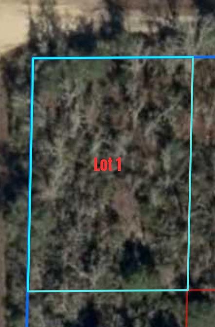 0 NE 67th Ln Williston, FL 32696  | Land/Lot