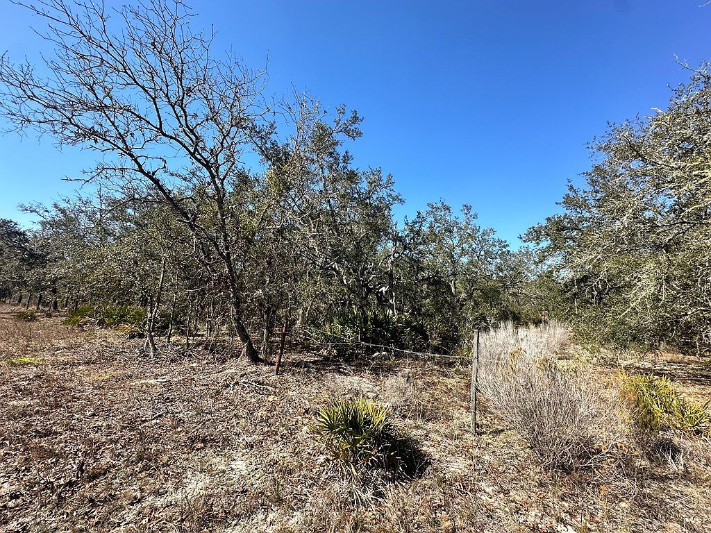 0 NE 69th St Williston, FL 32696 - Thumbnail 5