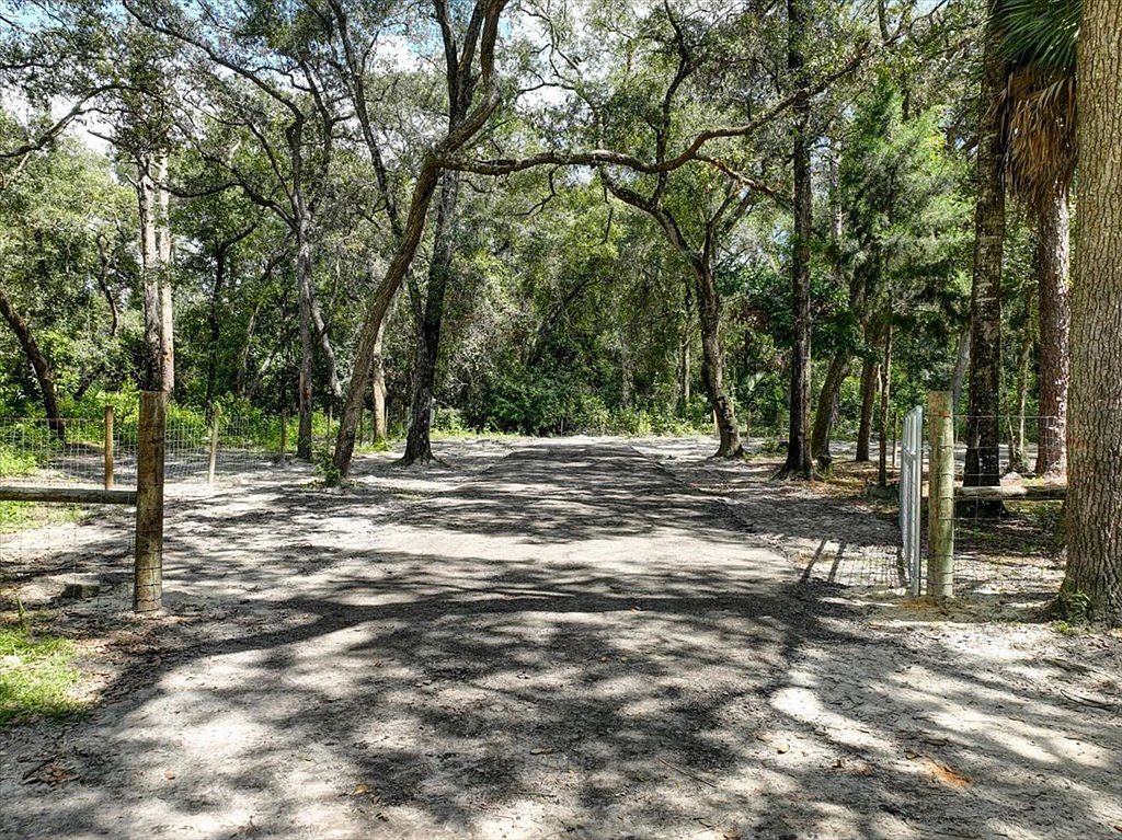 243 SE 914th St Old Town, FL 32680 - Thumbnail 5