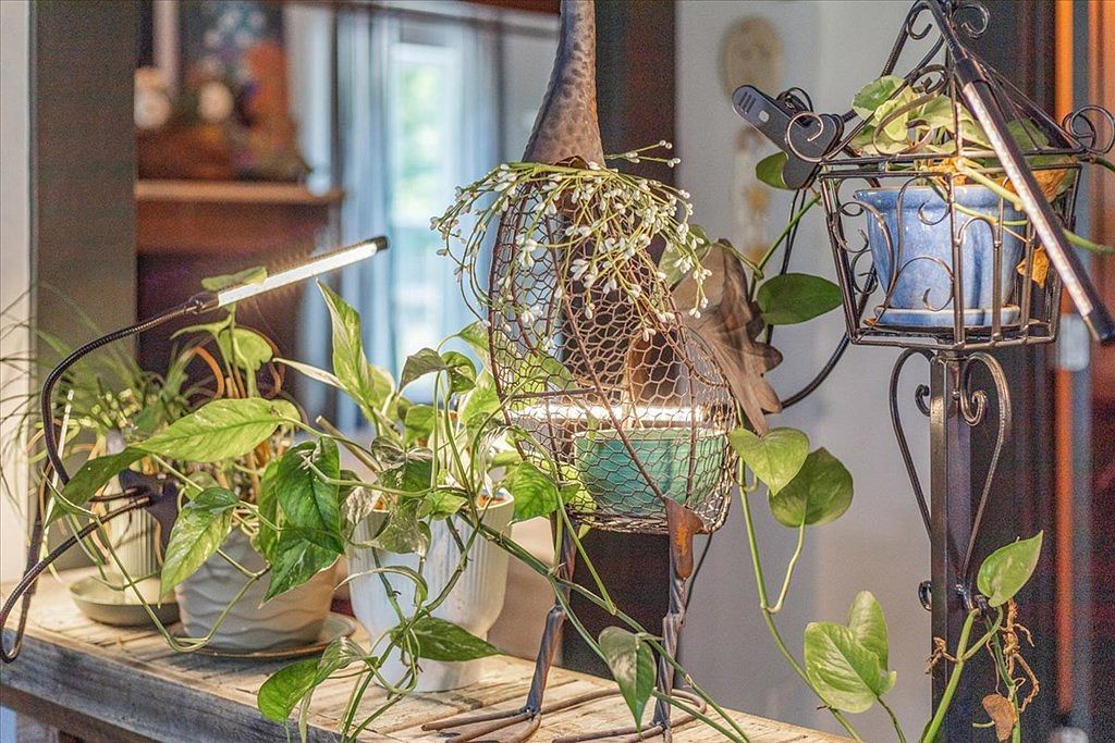 631 NW 172nd Ln Trenton, FL 32693 - Thumbnail 5