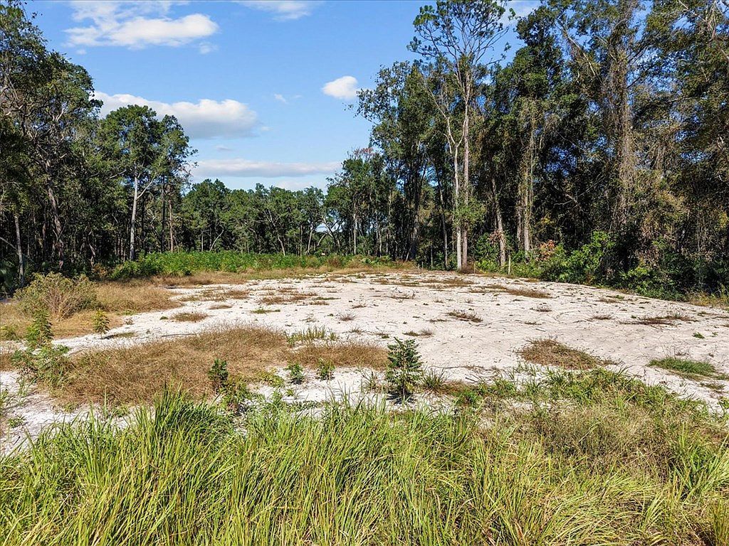 0 NW 162nd St Trenton, FL 32693 - Thumbnail 5