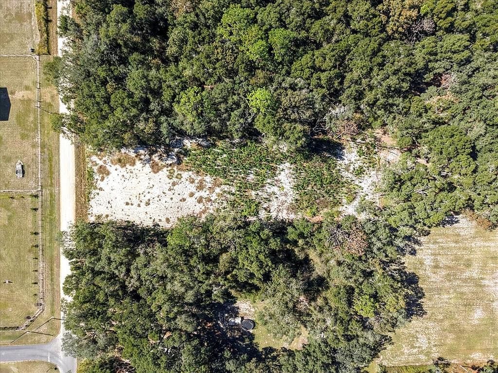 NW 162nd St LOT 47 Trenton, FL 32693 - Thumbnail 5