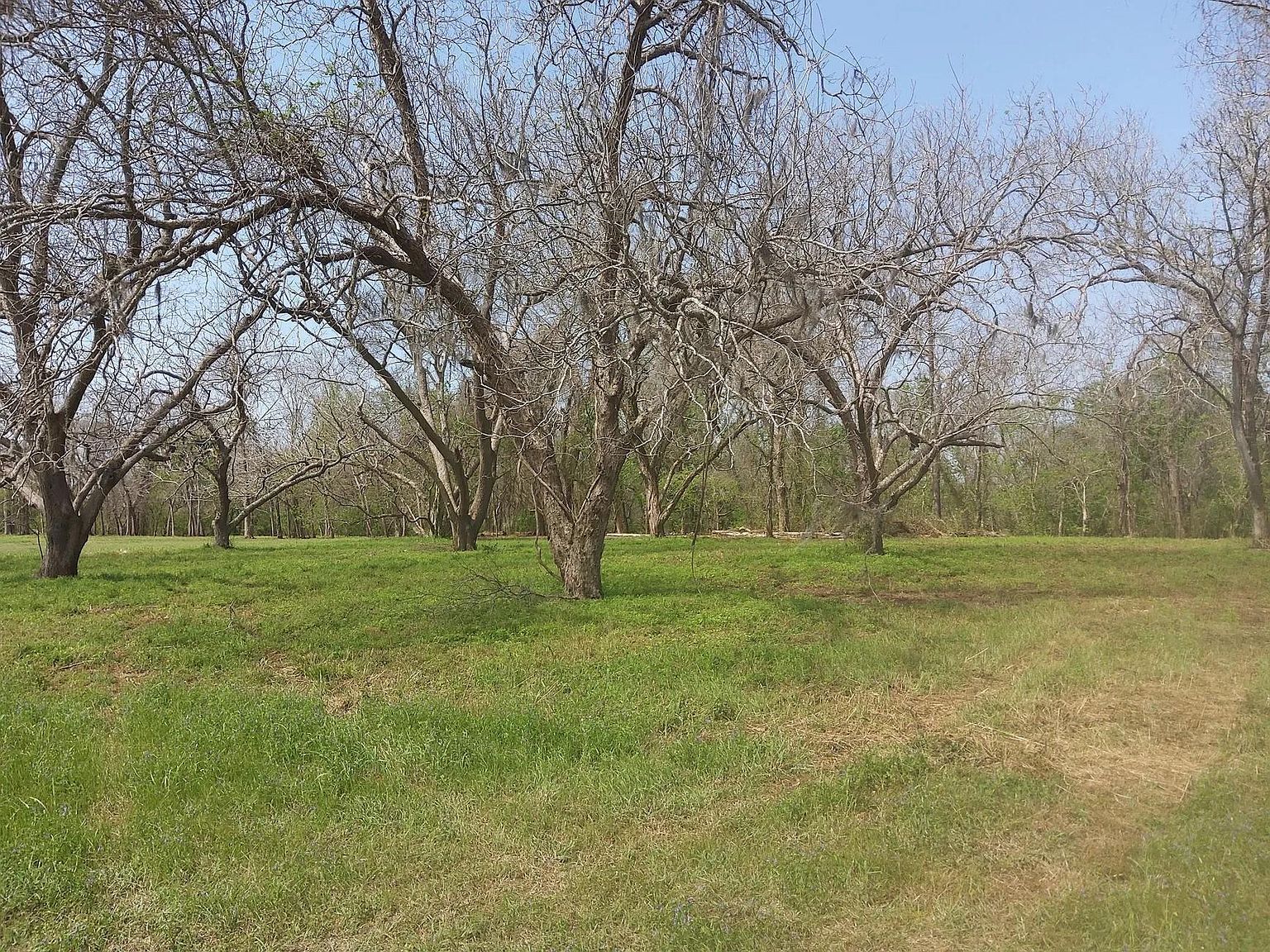 LOT 1 Fm 521 Rd Angleton, TX 77515 - Thumbnail 5