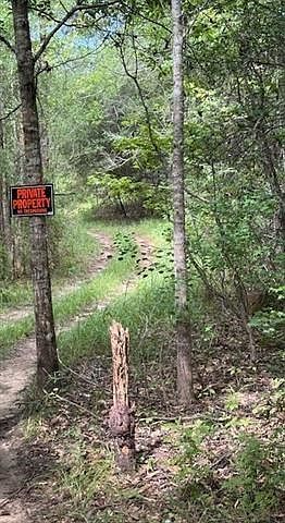 Dillon Rd Kentwood, LA 70444 - Thumbnail 5