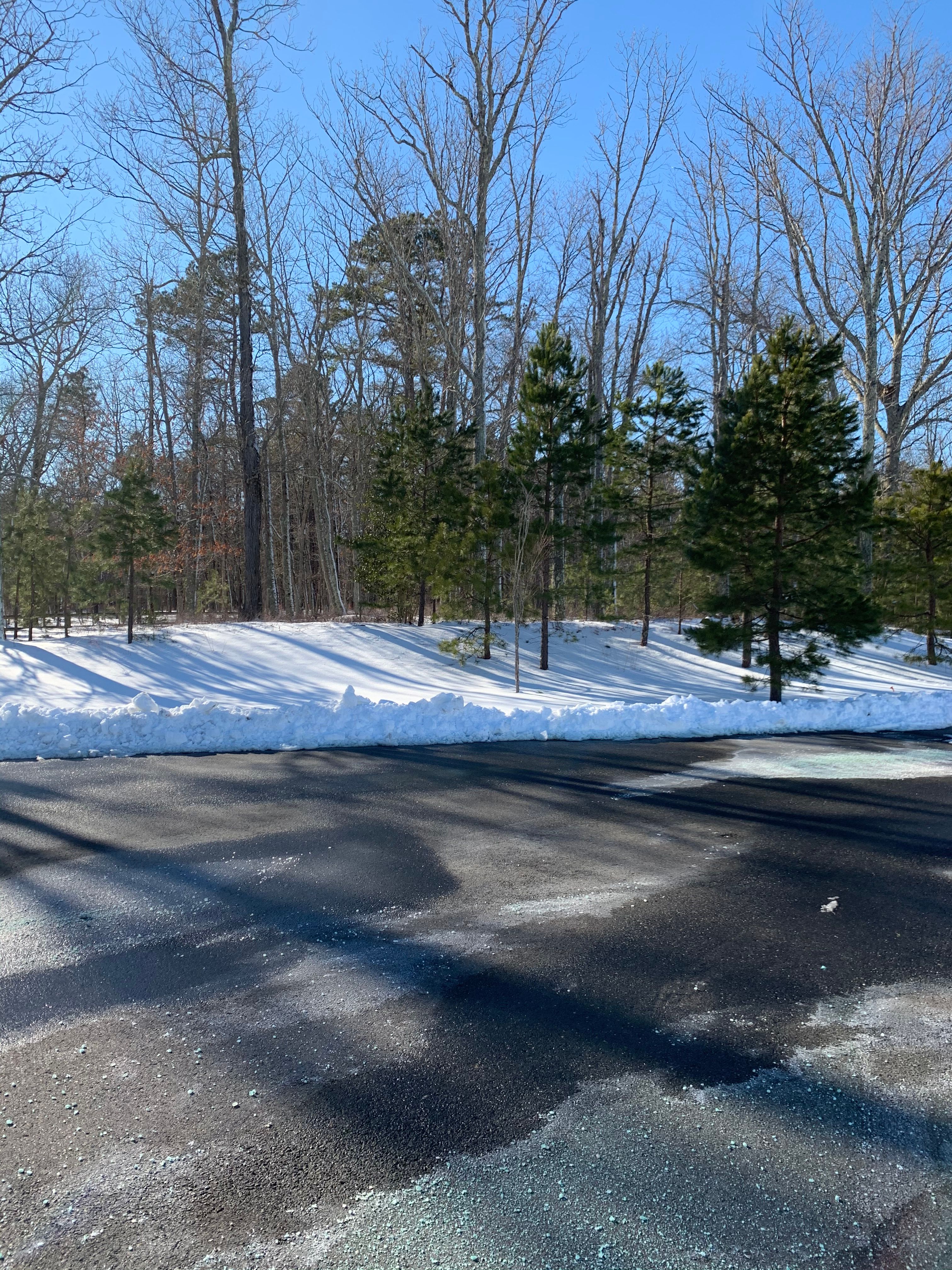 4 Holly Tree Ct, Jackson Township, NJ, USA, 8527 - Thumbnail 5