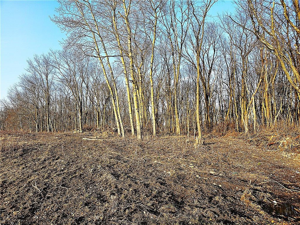 0 Blackleggs Rd Saltsburg, PA 15681 - Thumbnail 5