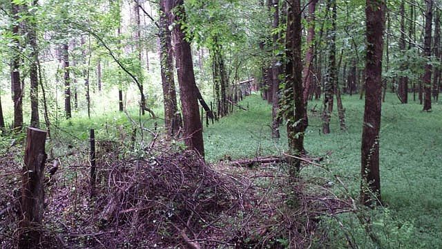 0 County Road 160 Oxford, MS 38655 - Thumbnail 5