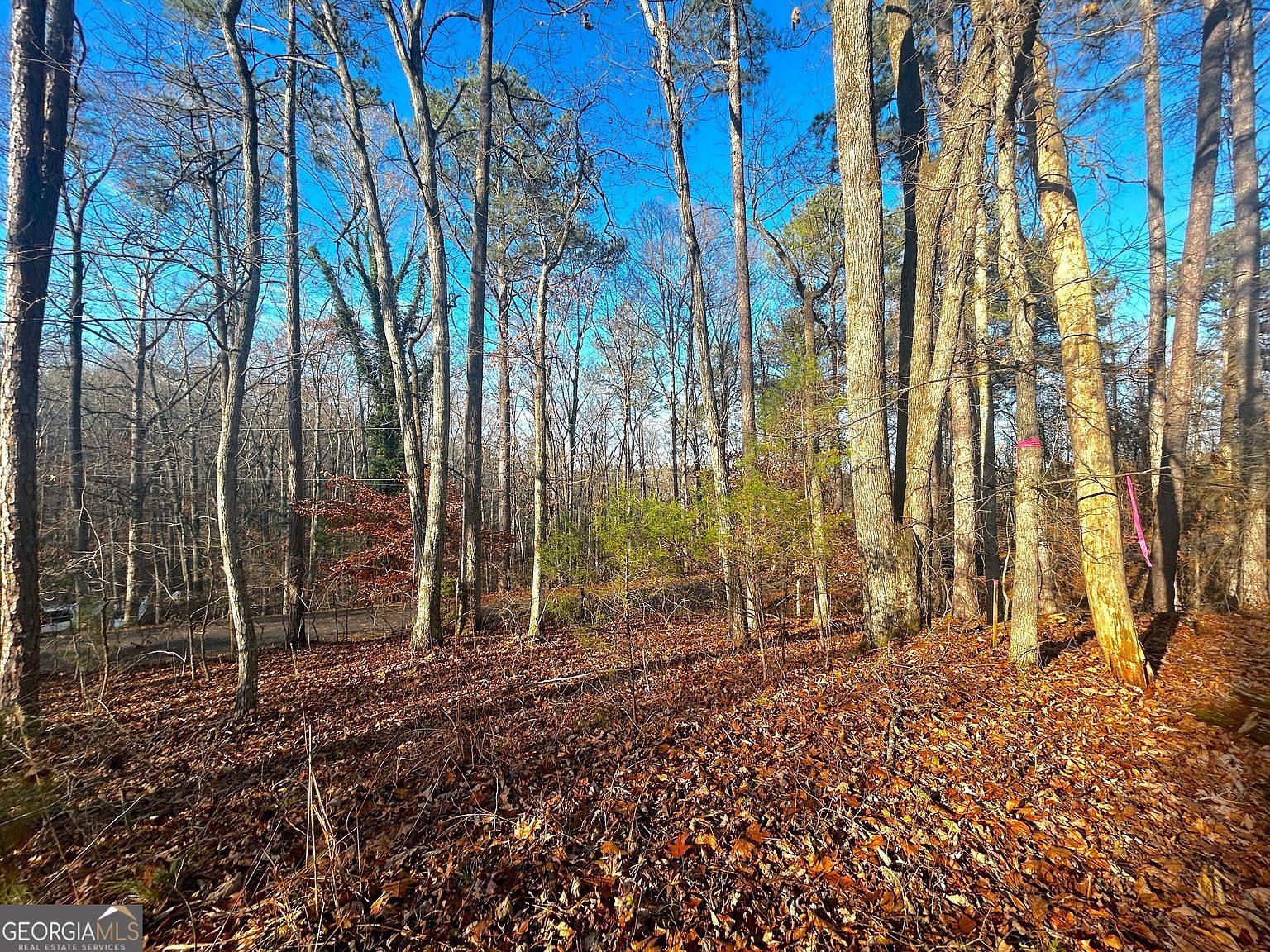 3339 Cherokee Ct Villa Rica, GA 30180 - Thumbnail 5