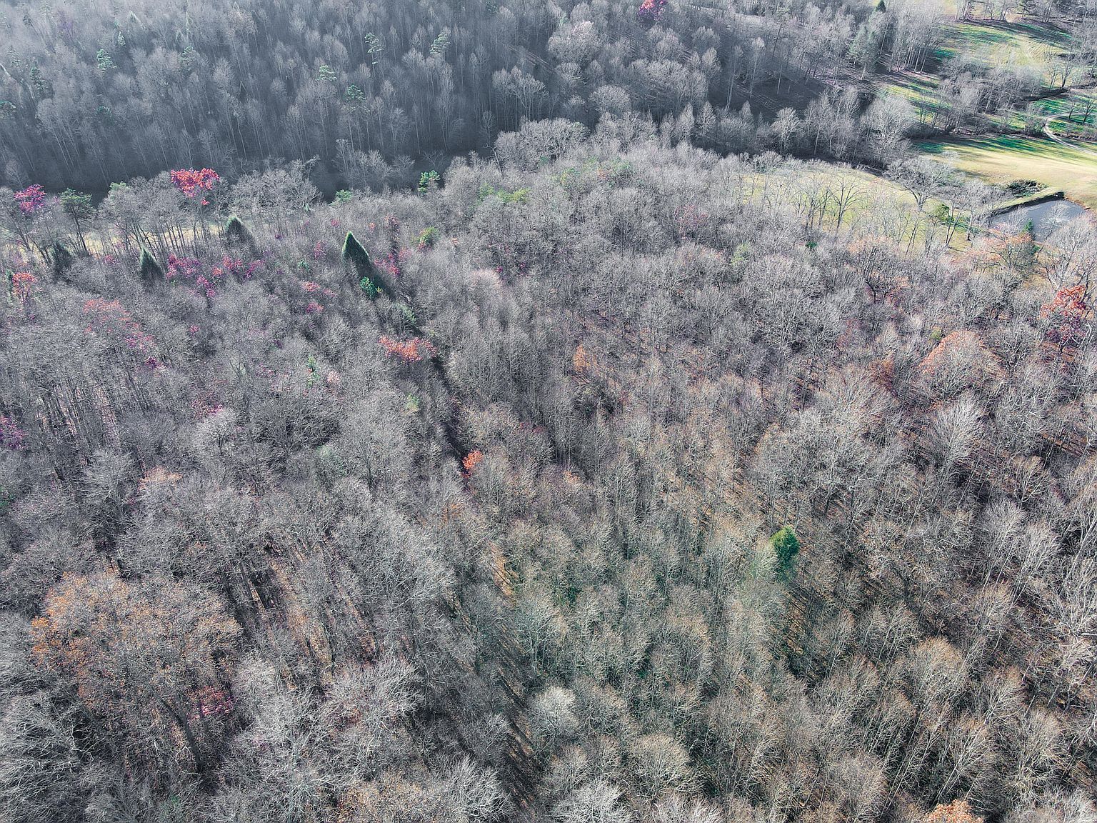 9999 Sid Harville Rd London, KY 40744 - Thumbnail 5