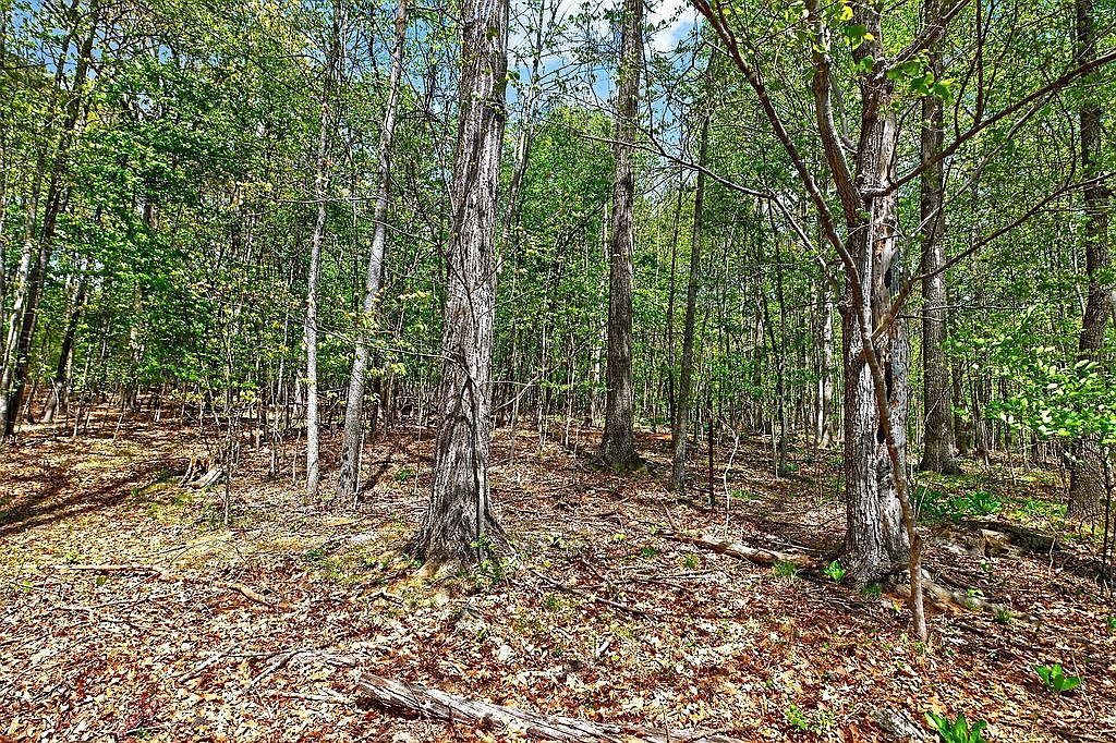 Tbd Hessian Ln Staunton, VA 24401 - Thumbnail 5