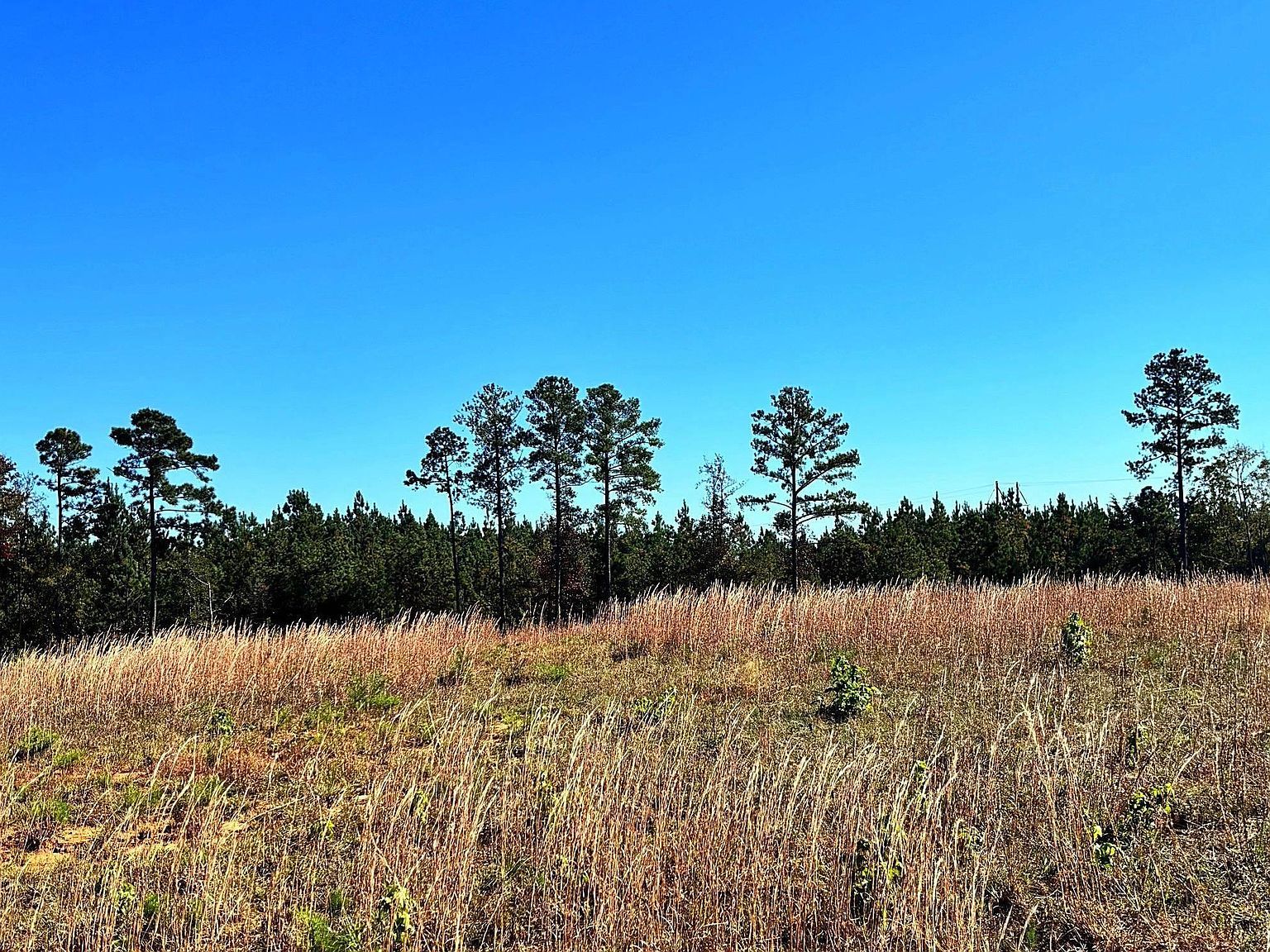 0 Riverfork Rd Waterloo, SC 29384 - Thumbnail 5