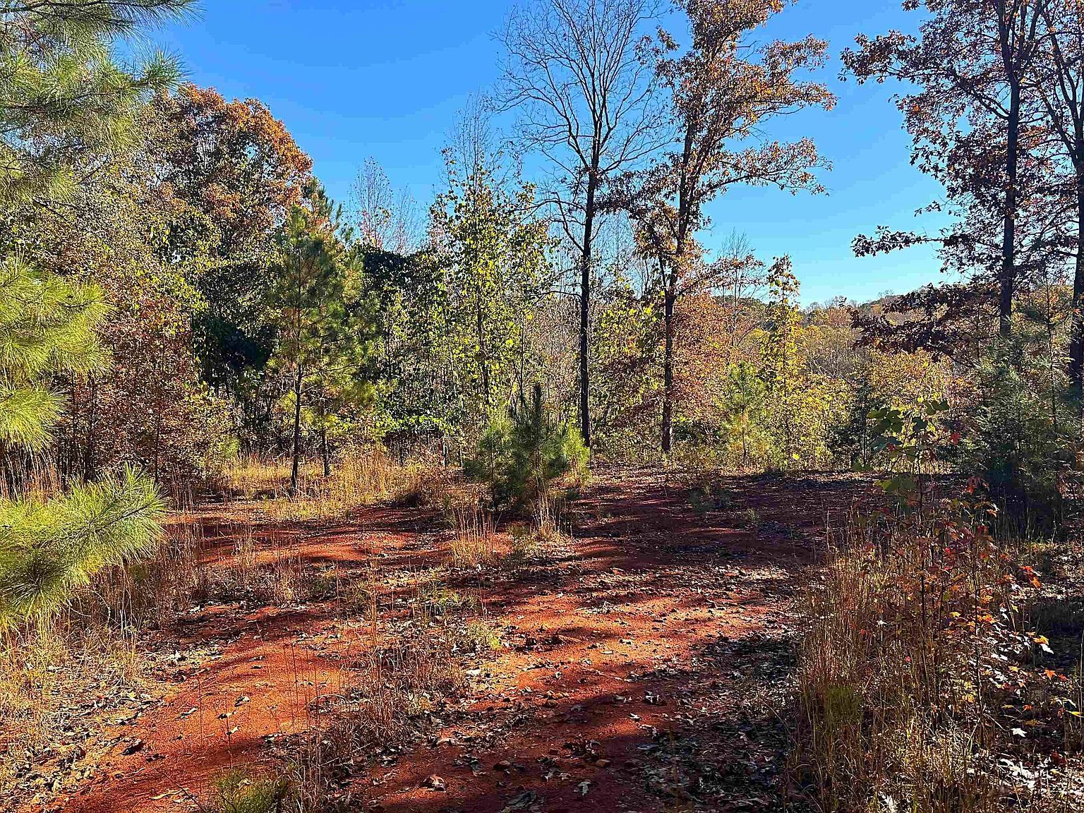 45 Deer Meadows Rd Laurens, SC 29360 - Thumbnail 5