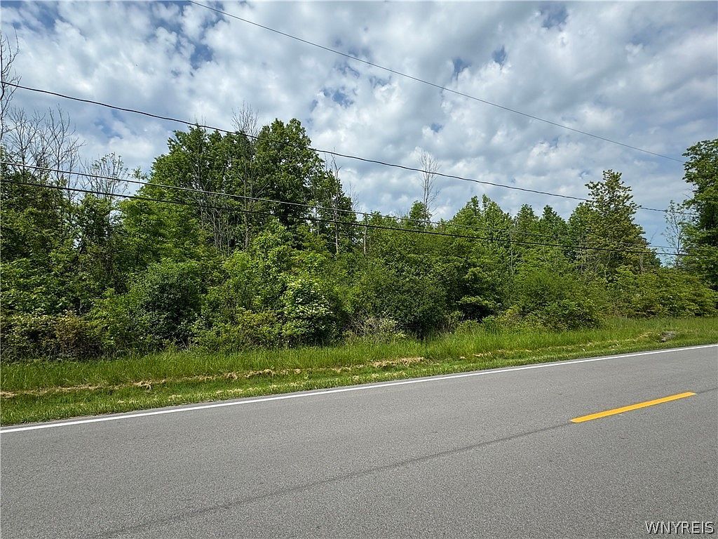 Cain Rd #29 Youngstown, NY 14174 - Thumbnail 5