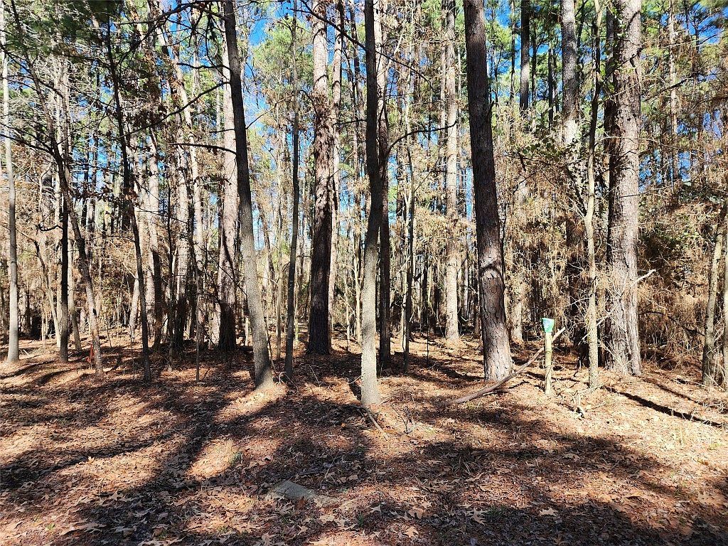 Whipporwill Ln Mount Vernon, TX 75457 - Thumbnail 5