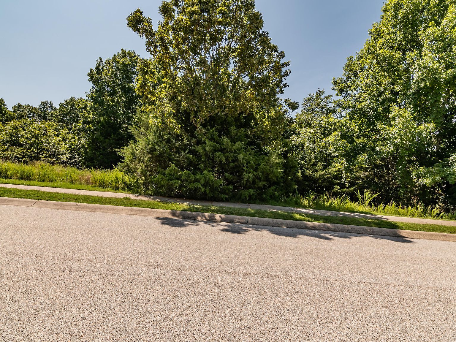 219 Forest Oak Dr Hollister, MO 65672 - Thumbnail 5