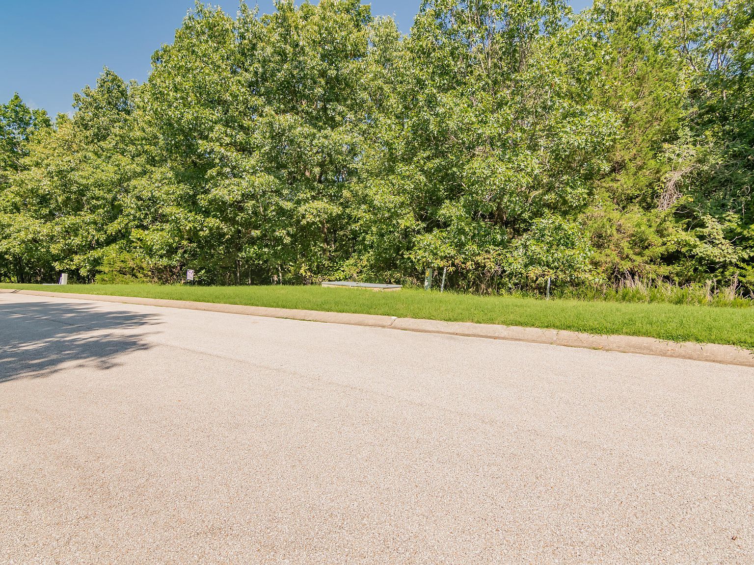 232 Woodhaven Cir Hollister, MO 65672 - Thumbnail 5