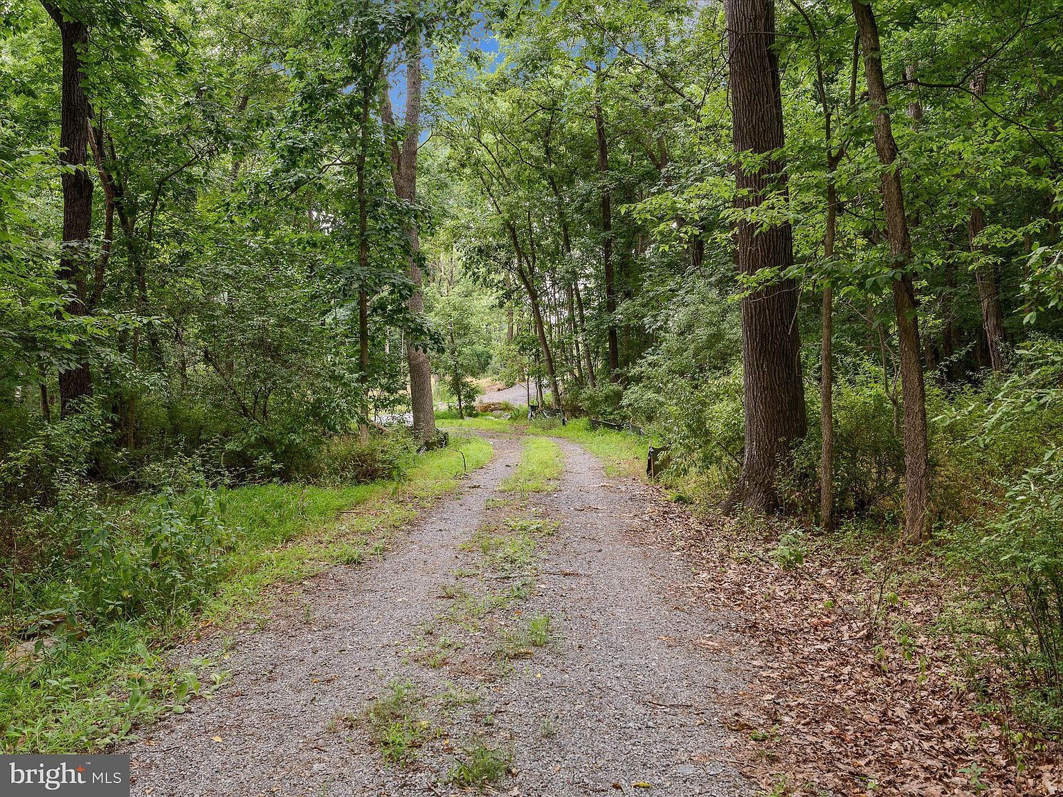 4 Rock Hall Farm Ln Berryville, VA 22611 - Thumbnail 5