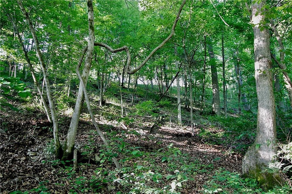 0 County Road 108 Eureka Springs, AR 72632 - Thumbnail 5