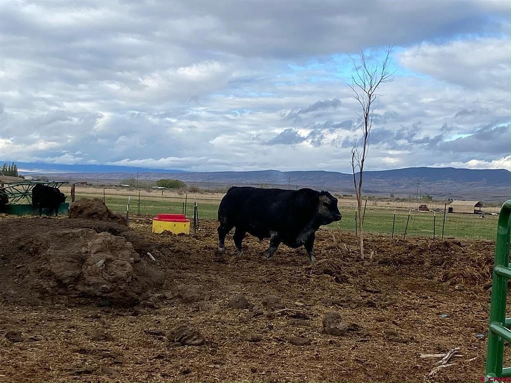 6000 Road Olathe, CO 81425 - Thumbnail 5