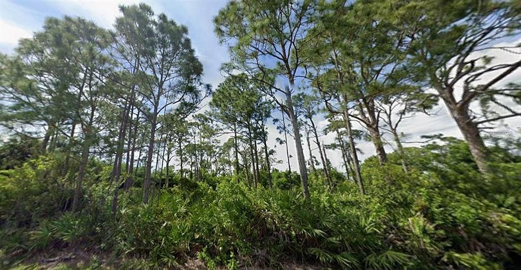 5249 Wynn Ter LOT 13 Pt Charlotte, FL 33981 - Thumbnail 5