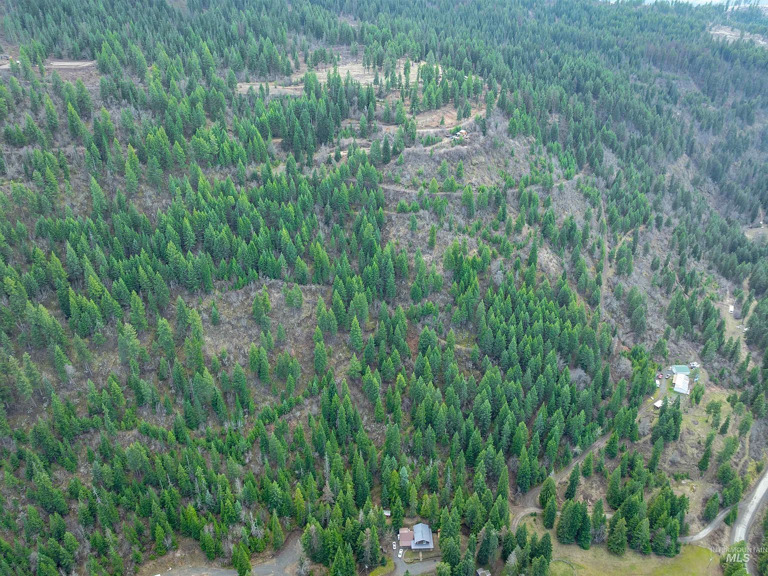 751 Wilderness Dr Orofino, ID 83544 - Thumbnail 5