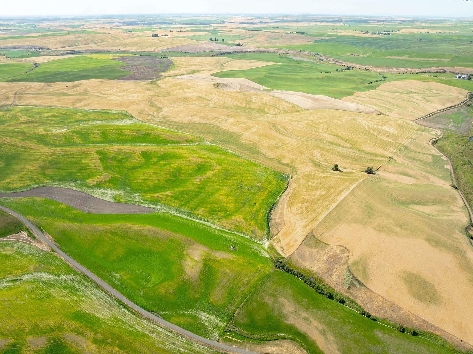 Bongarts Rd Oakesdale, WA 99158 - Thumbnail 5