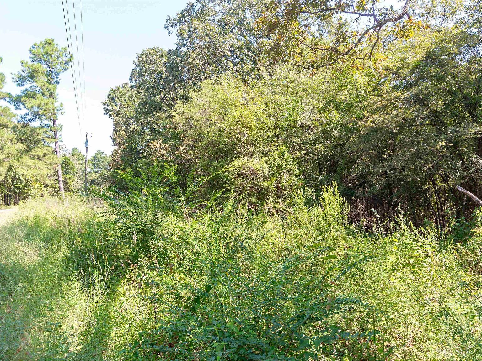 13234 Mountainview Rd S Winona, TX 75792  | Land/Lot