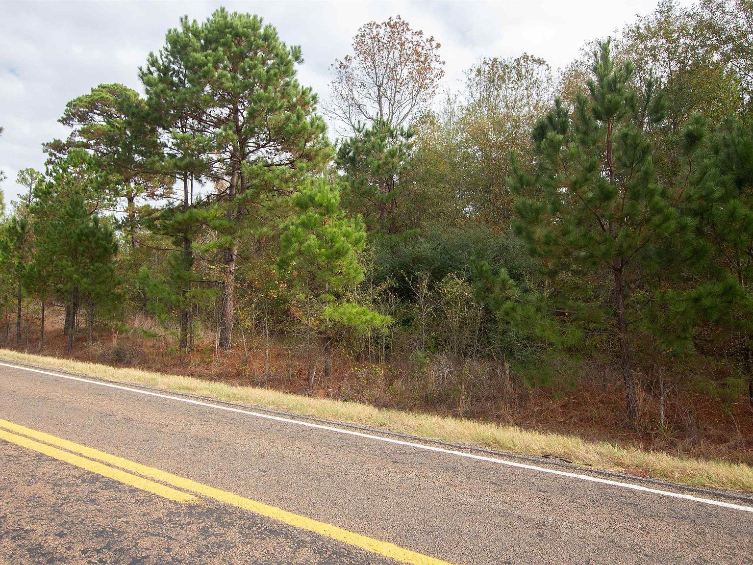 2012 Fm Overton, TX 75684 - Thumbnail 5