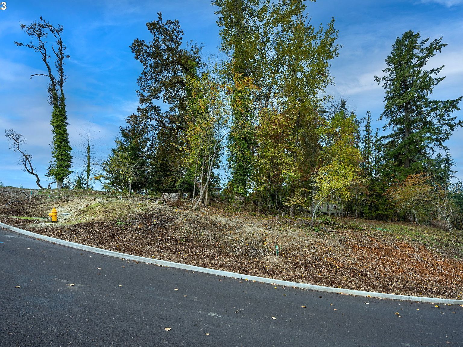 2662 Cupola Dr #31 Eugene, OR 97403 - Thumbnail 5