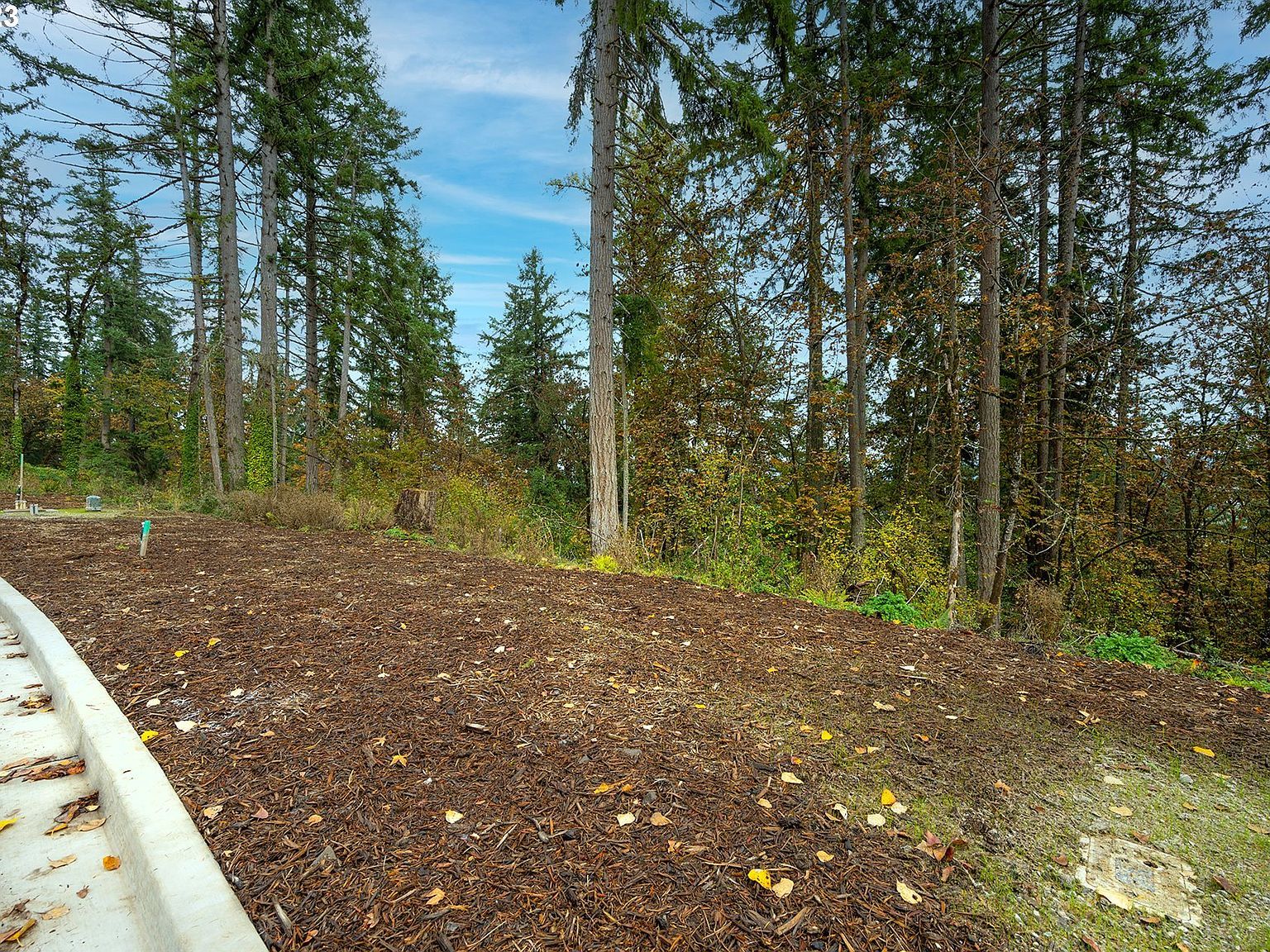 2639 Cupola Dr #12 Eugene, OR 97403 - Thumbnail 5